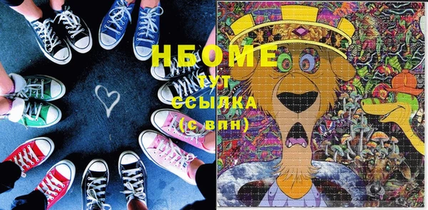 дурь Инсар