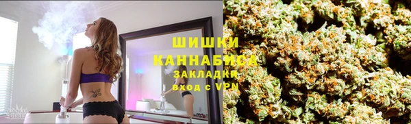 дурь Инсар