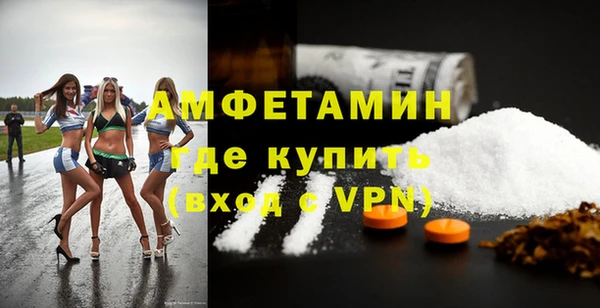 дурь Инсар